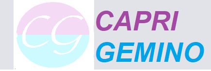 Capri Gemino Enterprises